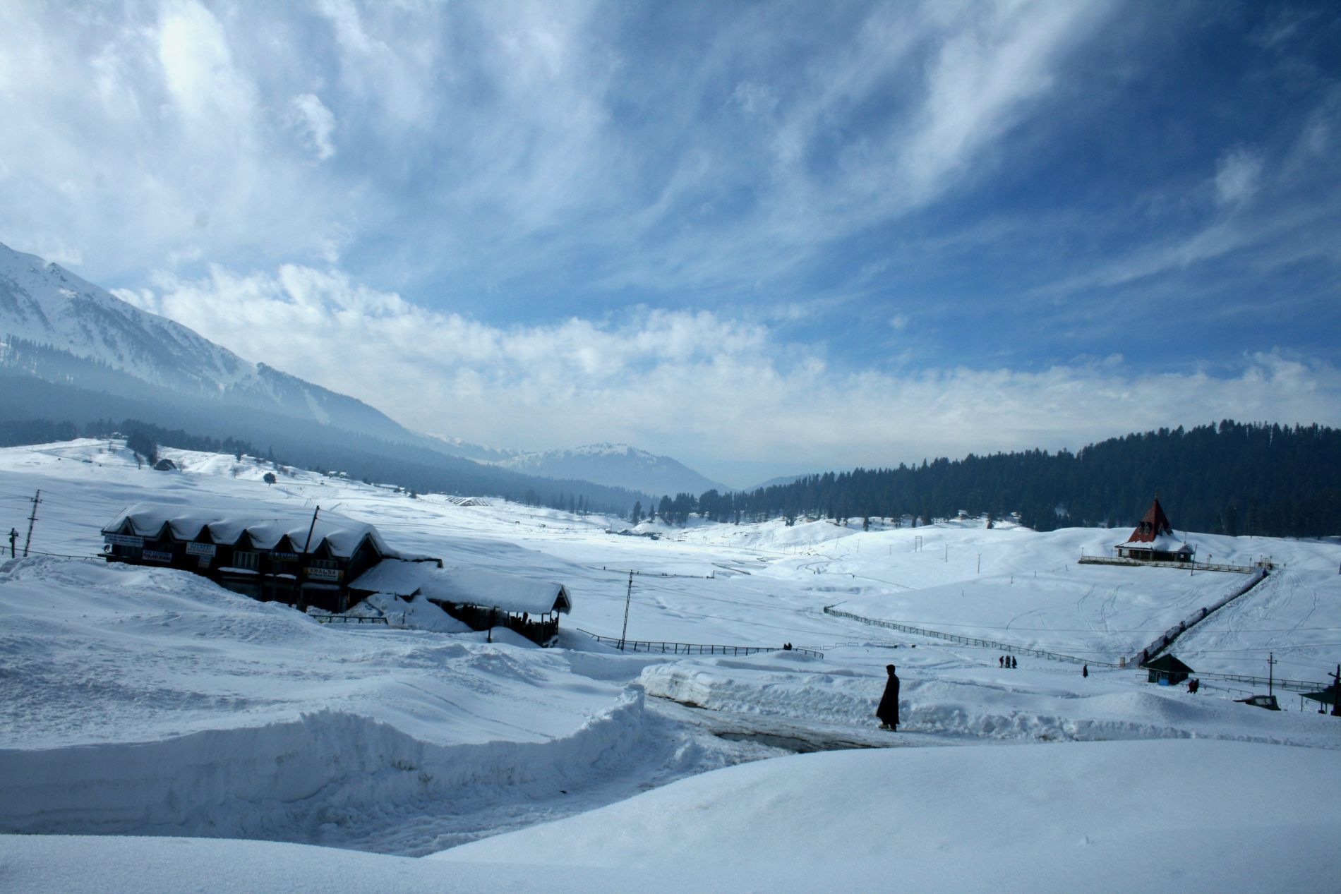 LANDSCAPE